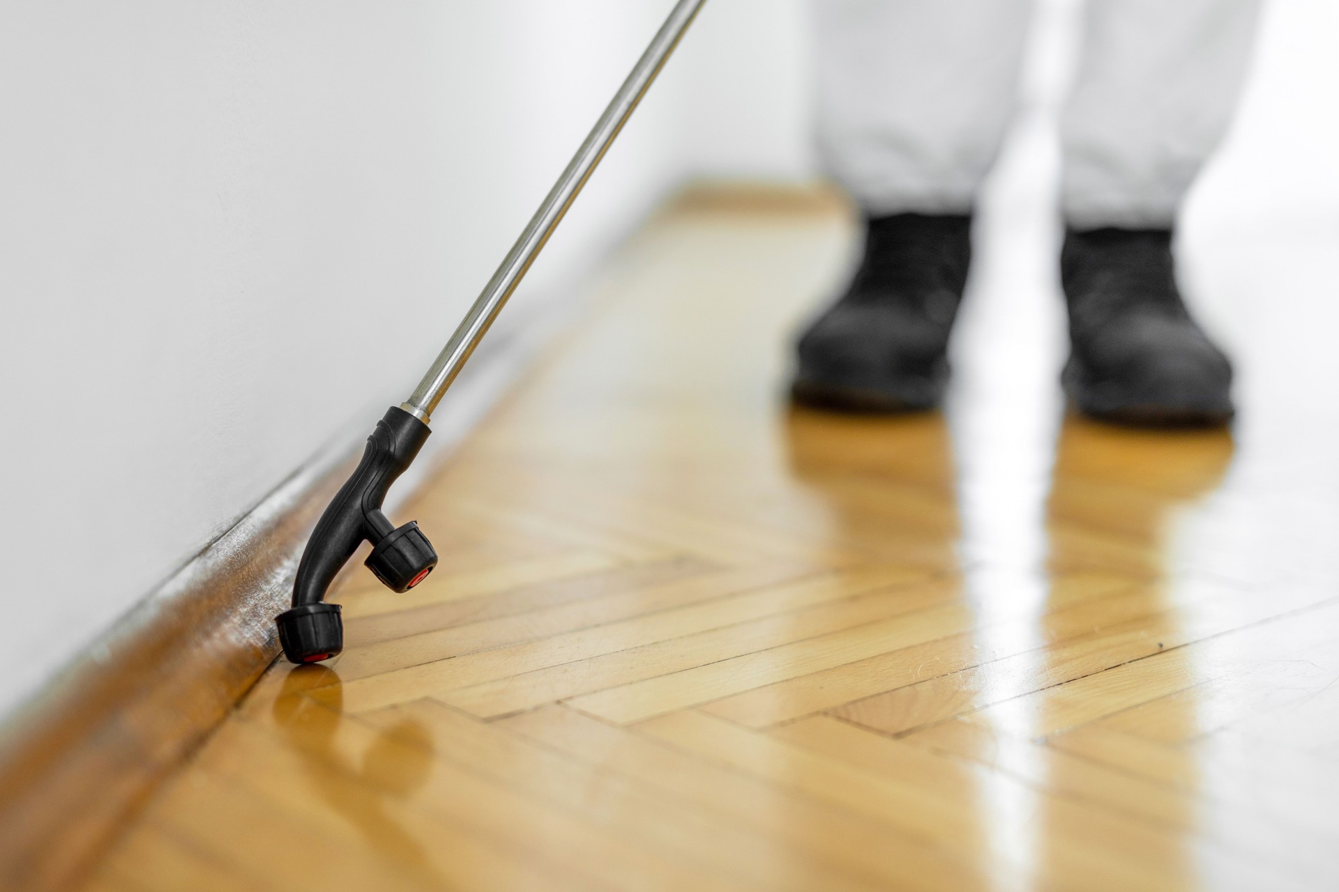 Pest control worker spraying pesticide